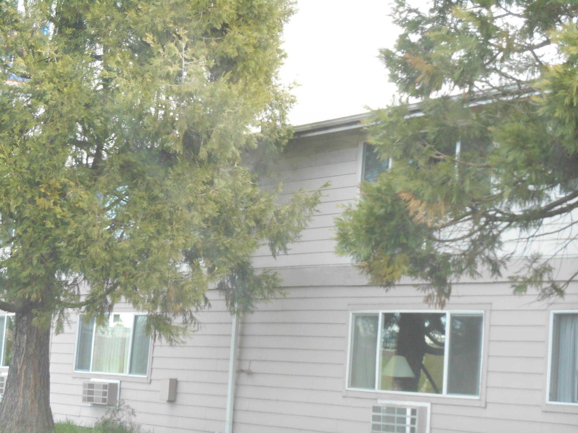 Guesthouse Inn & Suites Eugene/Springfield Exteriör bild