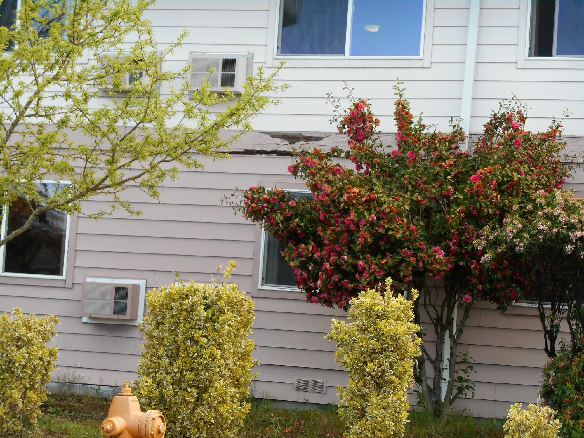 Guesthouse Inn & Suites Eugene/Springfield Exteriör bild